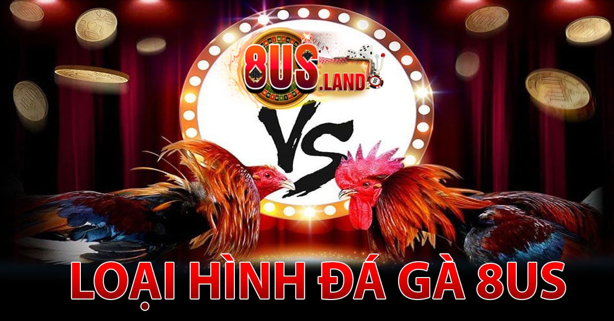 Những loại hình đá gà 8us
