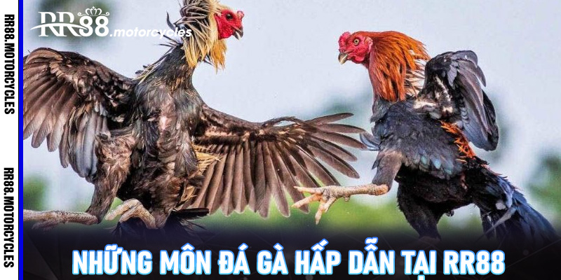 Những Môn Đá Gà Hấp Dẫn Tại RR88