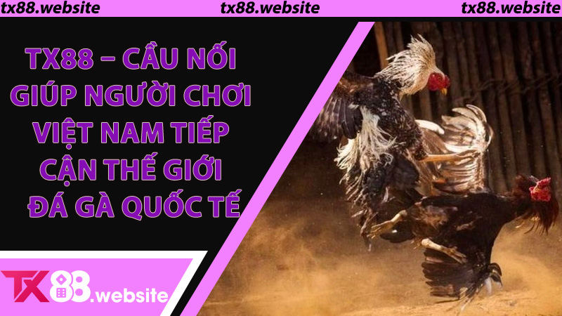 TX88 - Cầu nối giúp người chơi Việt Nam tiếp cận thế giới đá gà quốc tế